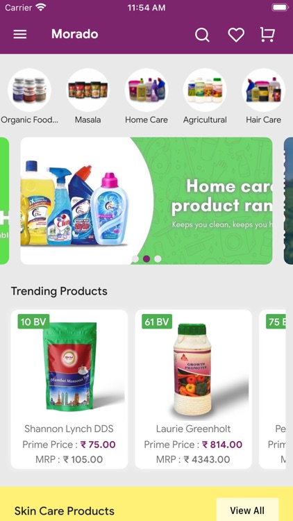 Morado - The Revolution