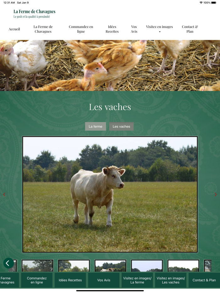 Le Ferme De Chavagnes