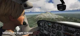 Game screenshot Aerofly FS 2021 apk