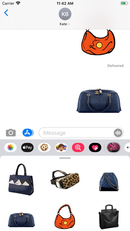 Fashion Handbag Collection