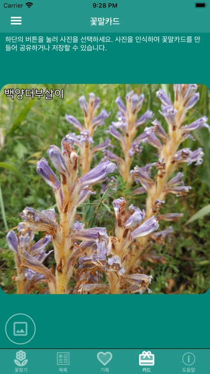 꽃이름 screenshot-3