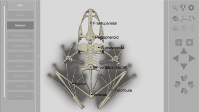 How to cancel & delete 3D Frog Skeleton from iphone & ipad 2