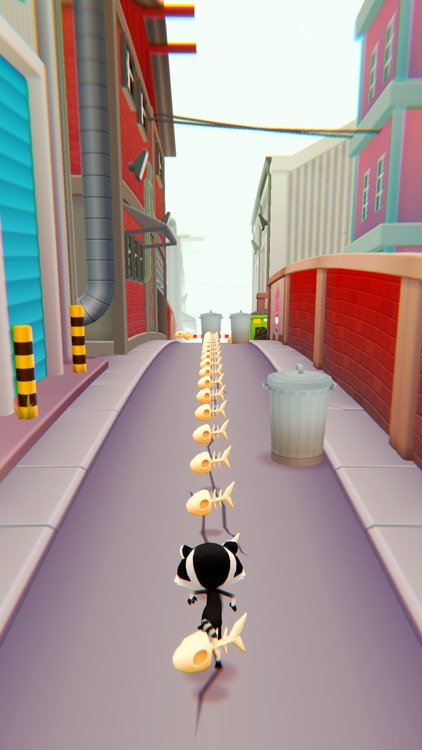 Crazy Raccoon Running 3d Games