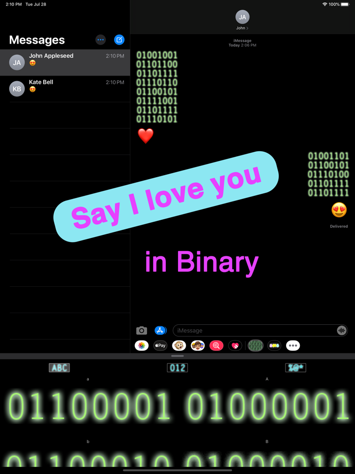 Binary Message