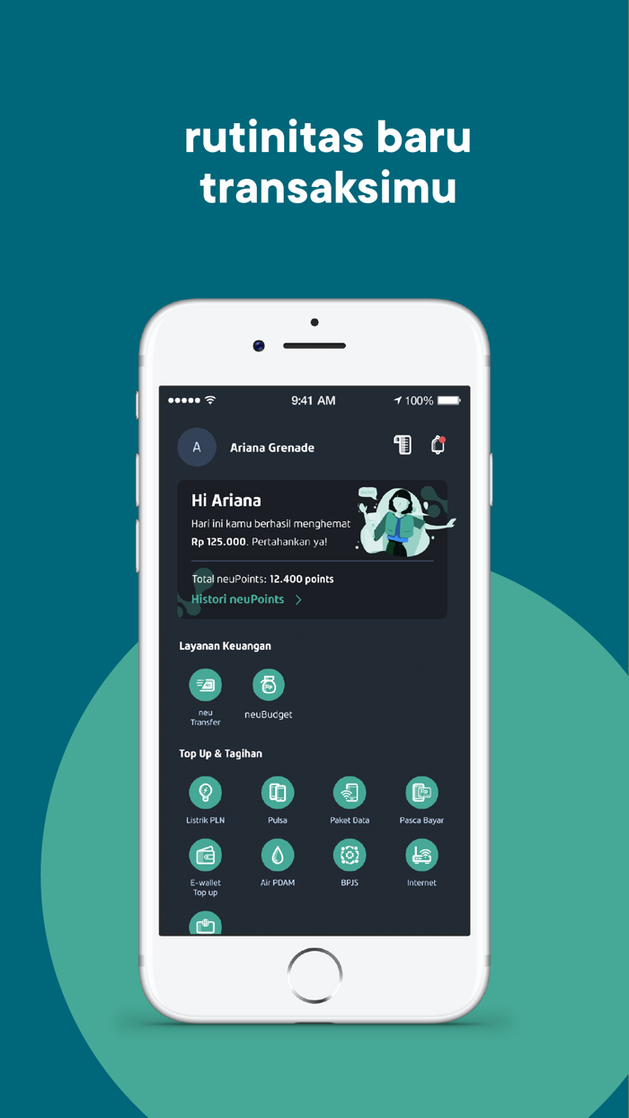 neu budget  transfer hemat