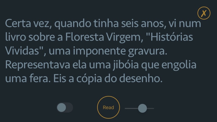 O Prinzipezinho - Audiolivro screenshot-3