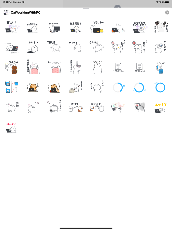 パソコンをつかう猫