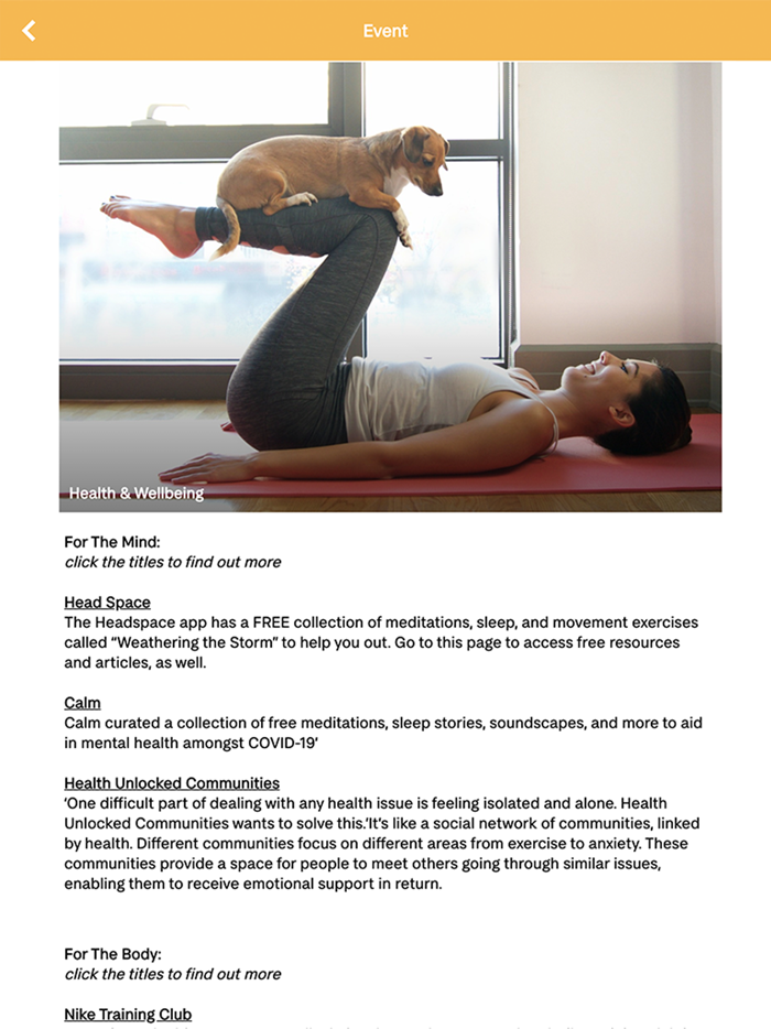 sesame 35 Portman Square