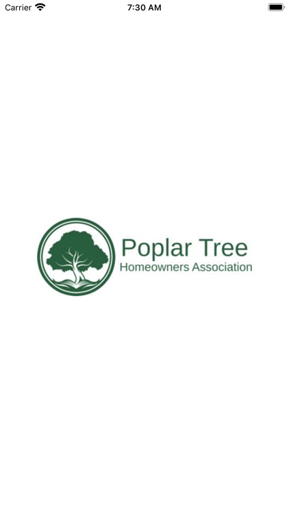 Poplar Tree