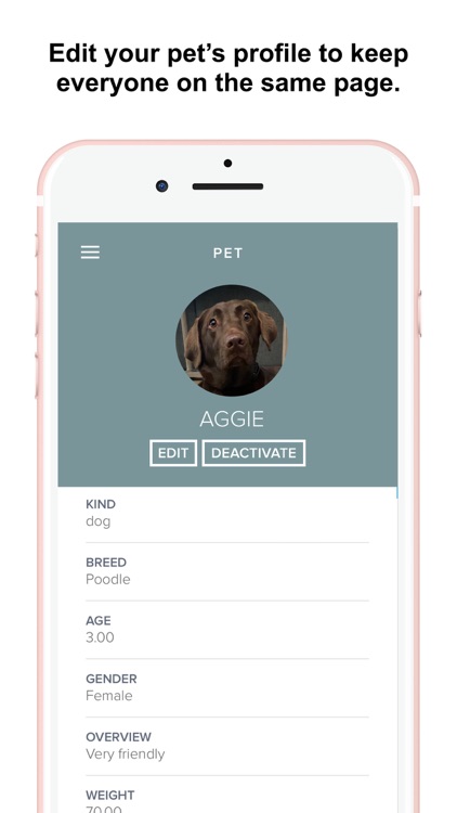 Petworking & CO. screenshot-3