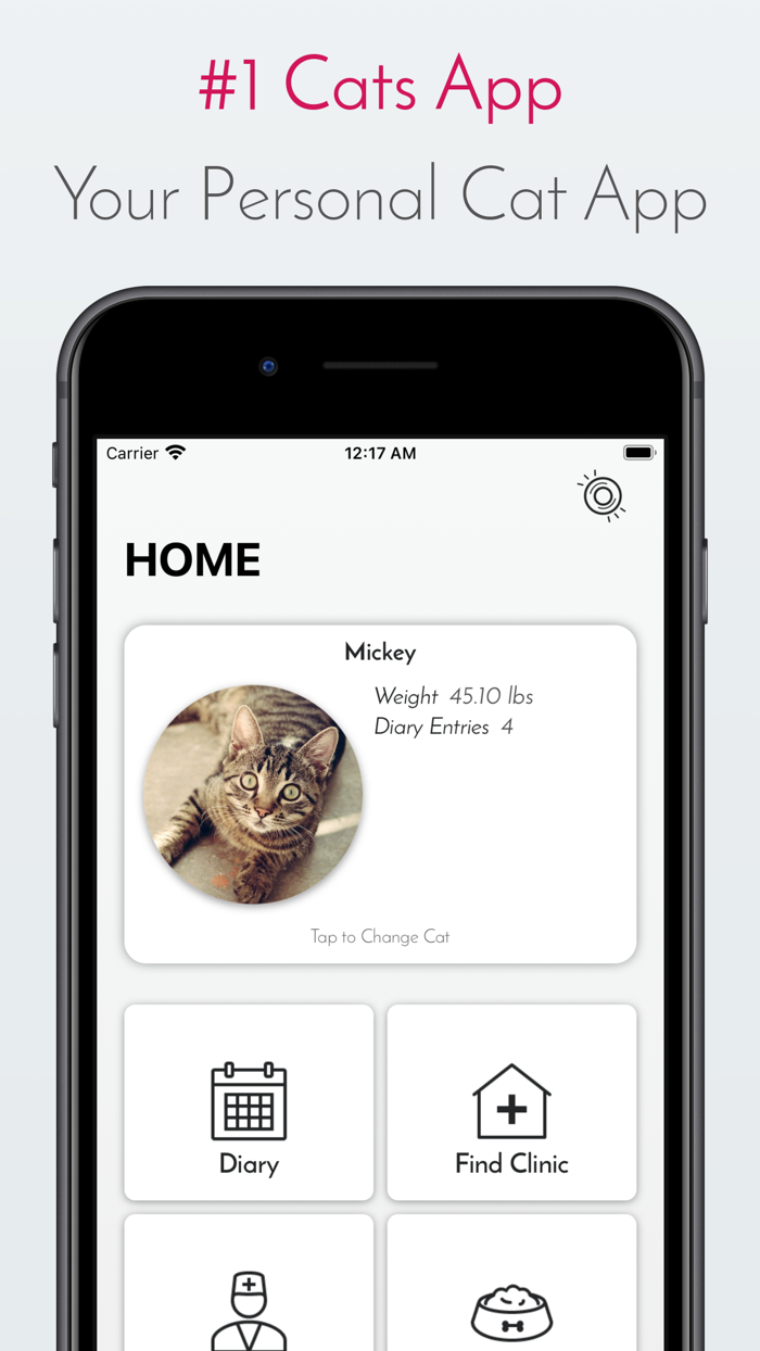 Kitty App - Care my Cat