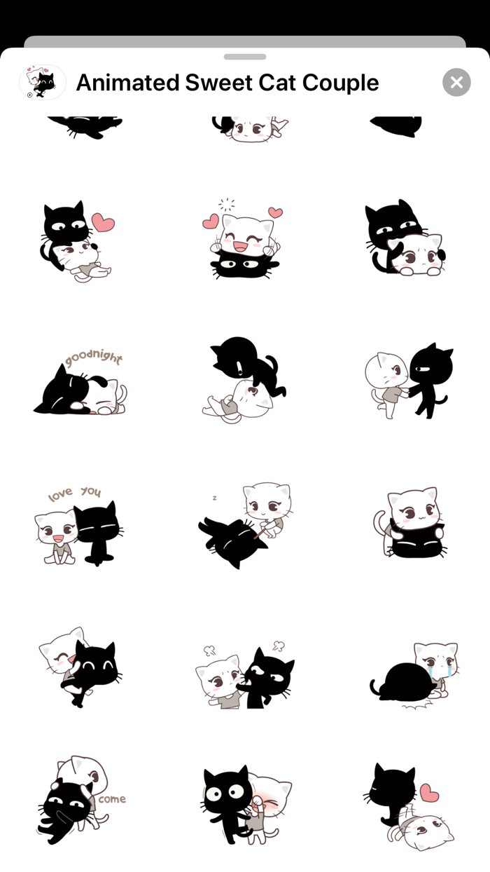 Animated Sweet Cat Couple