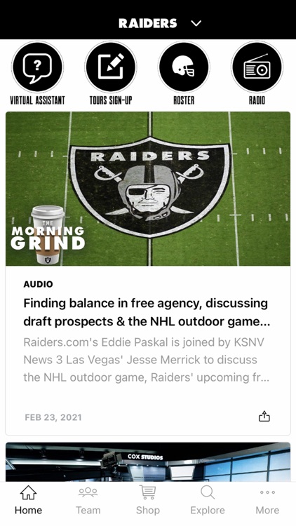 Raiders + Allegiant Stadium