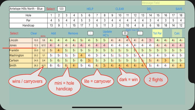 Golf Skins II