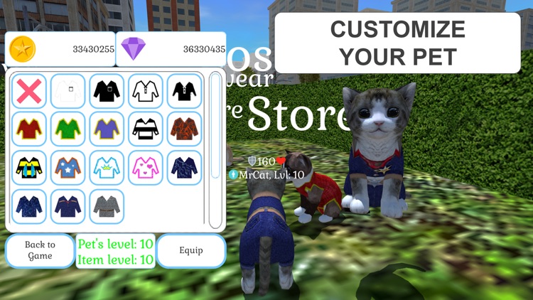 Cute Cat And Puppy World