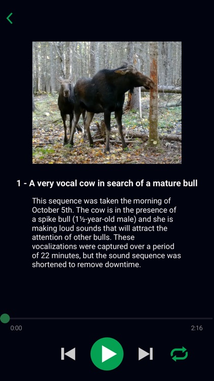 Natural Moose Calls screenshot-4