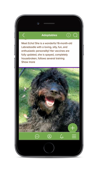 Social Petwork screenshot-4