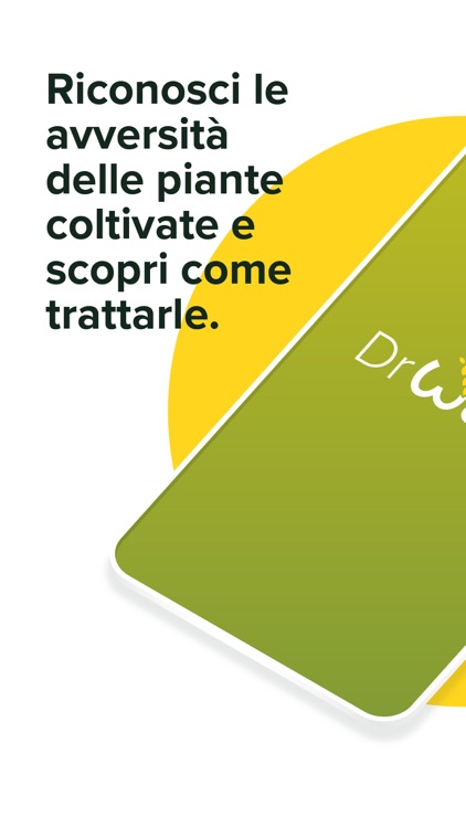 DrWapi: Agronomo digitale