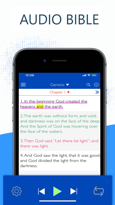 New American Bible (NAB) screenshot 2