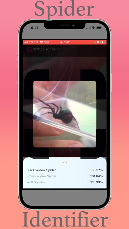 Spider Scanner