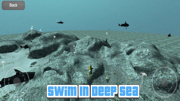 Fish Feed Simulator 3D