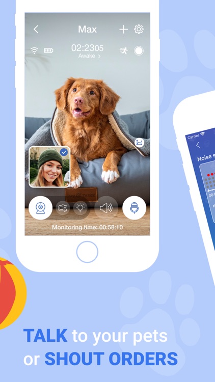 Dog Monitor: Pet Watch Cam