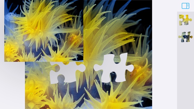 Jigsaw Puzzles Underwater screenshot-5
