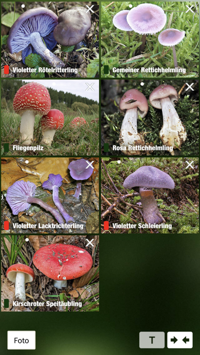 How to cancel & delete Pilze Sammeln, Bestimmen und Zubereiten - der Pilzführer für Wald und Natur from iphone & ipad 4