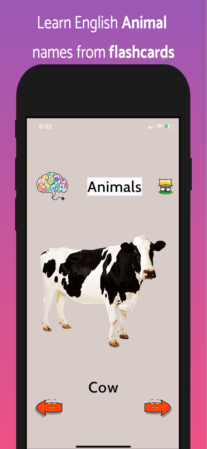 Learn English Flashcards