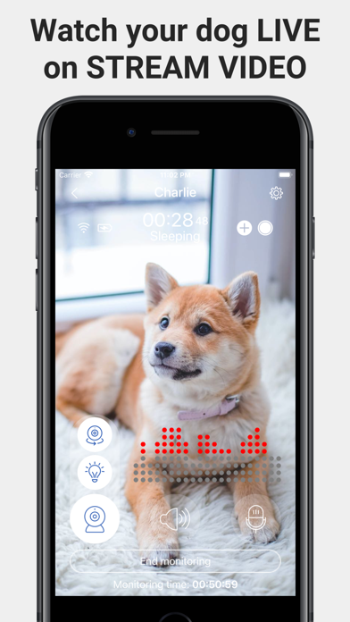 犬のモニタ ペット アニーが見るには カメラ Iphoneアプリ Applion