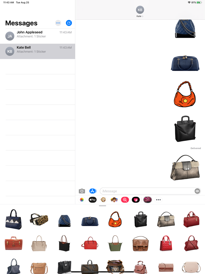 Fashion Handbag Collection