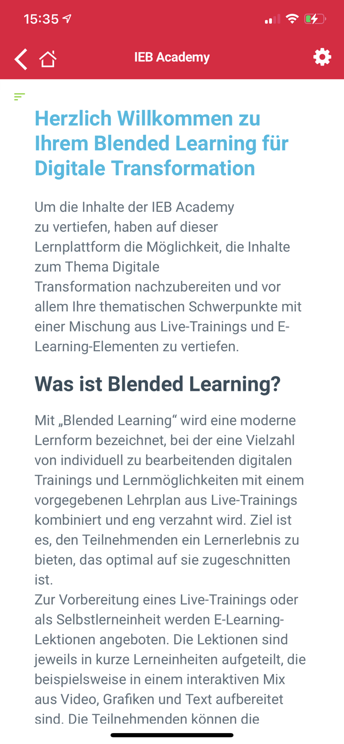IEB Academy