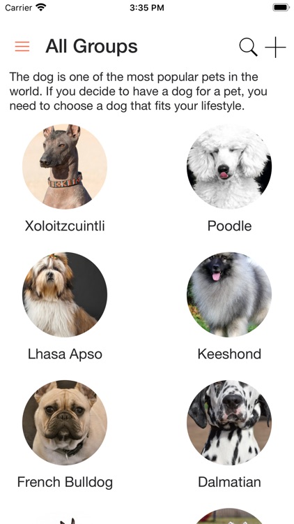 DogsHouse