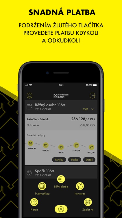 Raiffeisenbank Mobilní eKonto screenshot-4