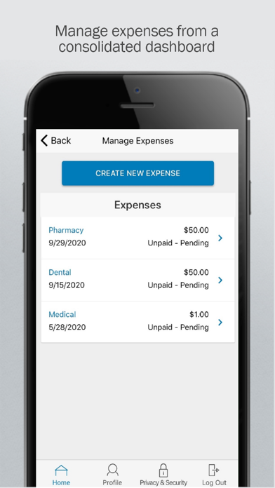 BCI Accounts – FSA HRA HSA screenshot 3