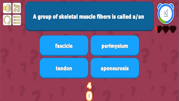 Muscular System Anatomy Quiz screenshot-3
