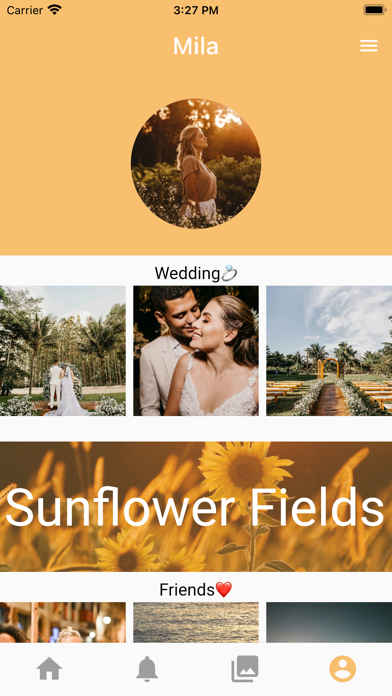 Screenshot #3 pour Palbum