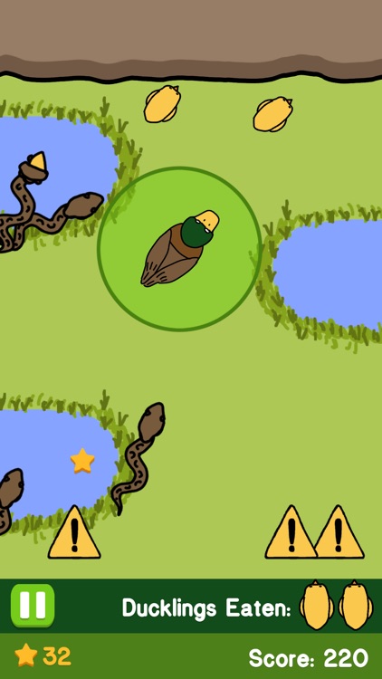 Duckling Mania screenshot-4