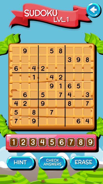 Sudoku Fun Puzzles
