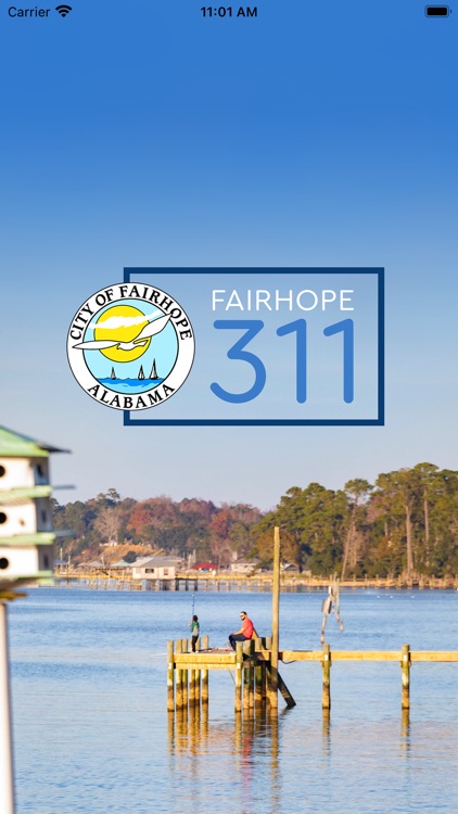 Fairhope311