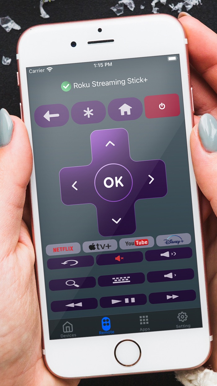 Roku Remote Control - RoVision