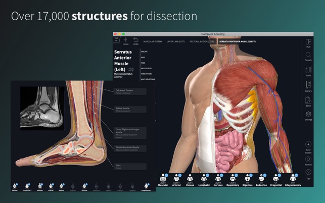 Best Anatomy Apps For Mac Os