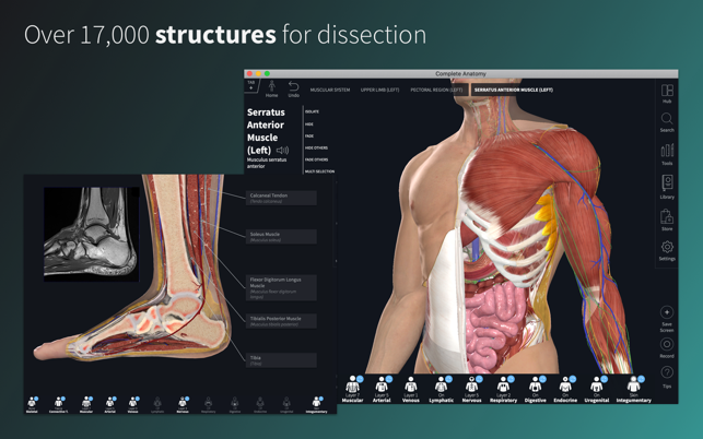 complete anatomy download