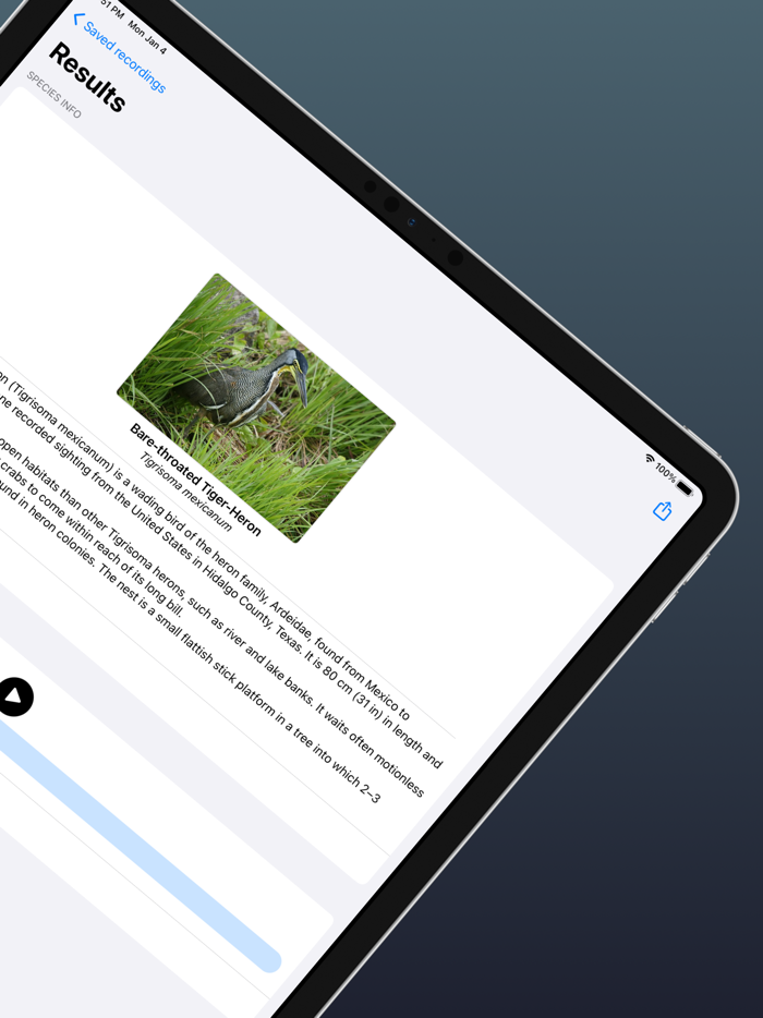 Bird Sound Identifier