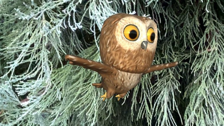 Rocky Owl AR