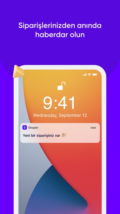 Shopier screenshot-4