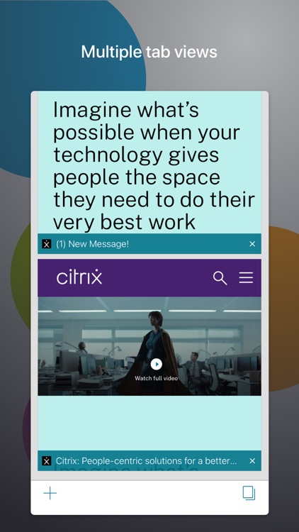 Citrix Secure Web screenshot-2
