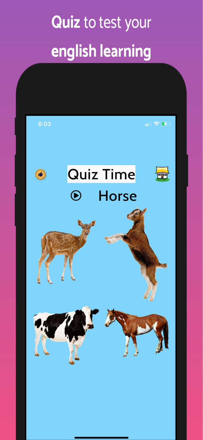 Learn English Flashcards