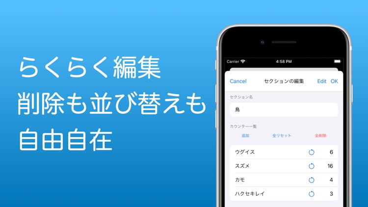 MyCounter - easy to use