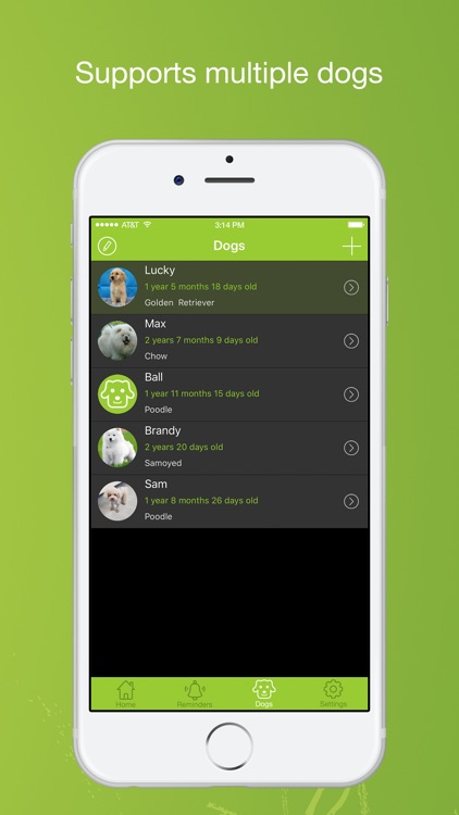 Dog Buddy - Activities & Log